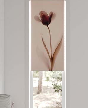 Рулонная штора  «Нистан - 190 - ширина 47 см»