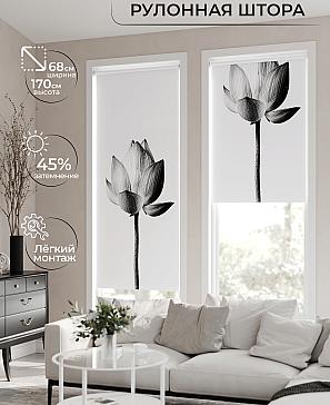 Рулонная штора «Мастио - 934 - ширина 68 см» | фото