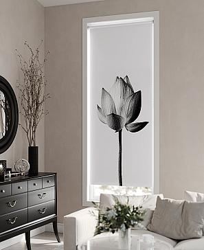 Рулонная штора «Мастио - 934 - ширина 68 см» | фото 3