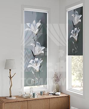 Рулонная штора «Флорко - 120 - ширина 57 см» | фото 2