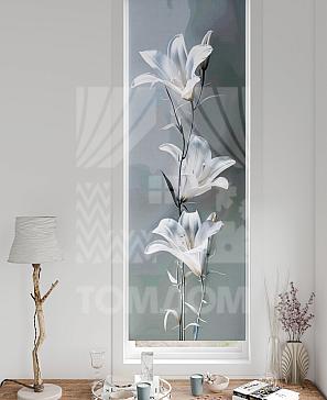 Рулонная штора «Флорко - 120 - ширина 57 см» | фото 3