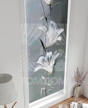 Рулонные шторы «Флорко - 120 - ширина 57 см»