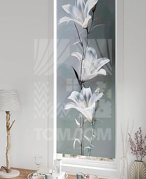 Рулонные шторы «Флорко - 120 - ширина 57 см»