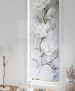 Рулонные шторы «Флорко - 147 - ширина 57 см»