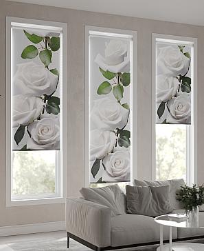 Рулонная штора «Ларфира - 19 - ширина 47 см»