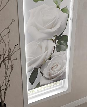 Рулонная штора «Ларфира - 19 - ширина 47 см»