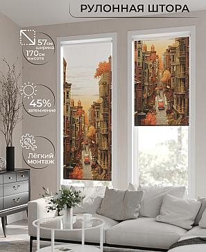 Рулонная штора «Данвис - 08 - ширина 57 см» | фото
