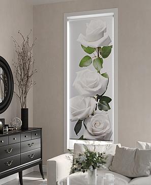 Рулонная штора «Данвис - 19 - ширина 57 см» | фото 2