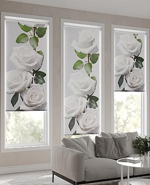 Рулонная штора «Данвис - 19 - ширина 57 см» | фото 3