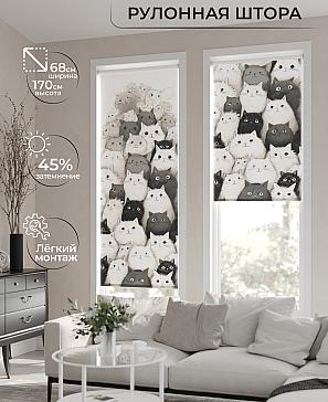 Рулонная штора «Ривалс - 13 - ширина 68 см» | фото
