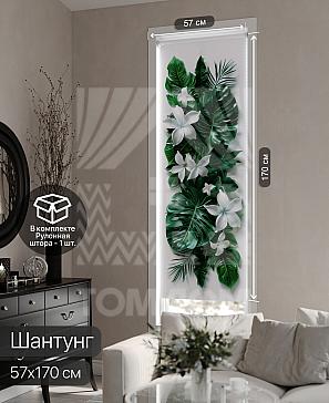 Рулонная штора «Фрезис - 19 - ширина 57 см» | фото