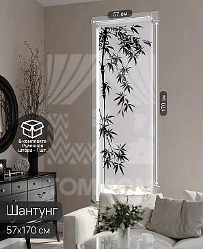 Рулонная штора «Фрезис - 20 - ширина 57 см» | фото