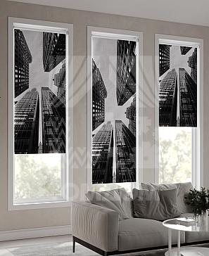 Рулонная штора «Фрезис - 22 - ширина 57 см» | фото 3