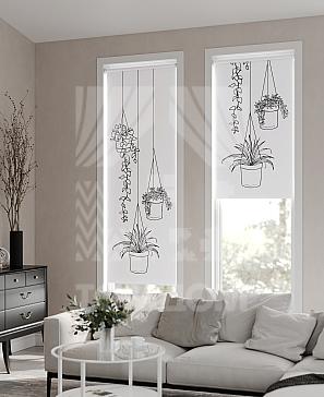 Рулонная штора «Фрезис - 31 - ширина 57 см» | фото 2