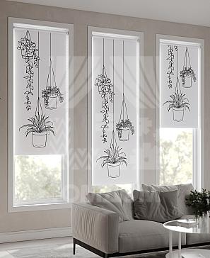 Рулонная штора «Фрезис - 31 - ширина 57 см» | фото 3