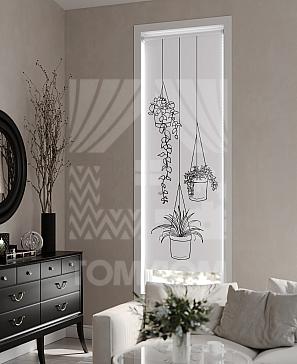 Рулонные шторы «Фрезис - 31 - ширина 57 см»