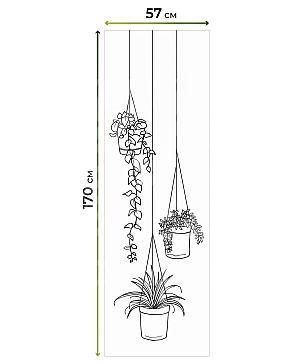 Рулонные шторы «Фрезис - 31 - ширина 57 см»