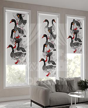 Рулонная штора «Фрезис - 36 - ширина 57 см» | фото 3