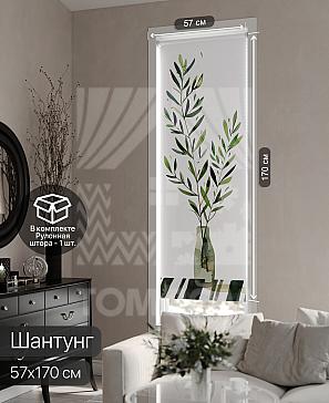 Рулонная штора «Фрезис - 40 - ширина 57 см» | фото