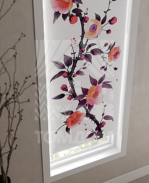 Рулонные шторы «Фрезис - 41 - ширина 57 см»