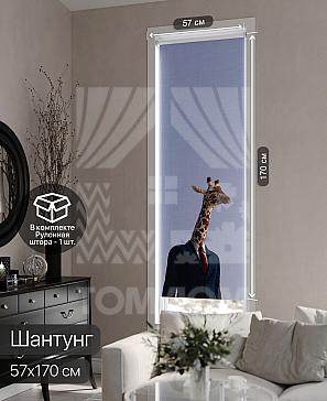 Рулонная штора «Фрезис - 44 - ширина 57 см» | фото