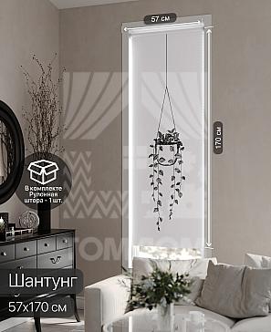 Рулонная штора «Фрезис - 45 - ширина 57 см» | фото