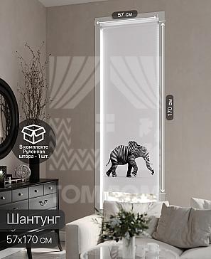 Рулонная штора «Фрезис - 46 - ширина 57 см» | фото