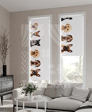 Рулонная штора «Фрезис - 50 - ширина 57 см» | фото 2