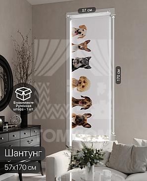 Рулонная штора «Фрезис - 50 - ширина 57 см» | фото