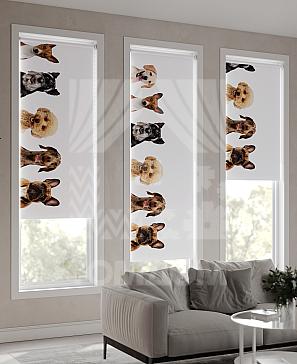 Рулонная штора «Фрезис - 50 - ширина 57 см» | фото 3