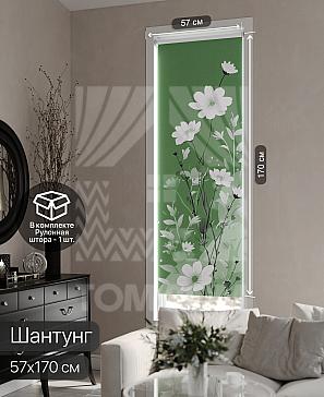 Рулонная штора «Фрезис - 56 - ширина 57 см» | фото