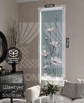 Рулонная штора «Фрезис - 58 - ширина 57 см» | фото