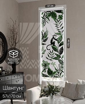 Рулонная штора «Фрезис - 61 - ширина 57 см» | фото