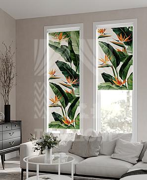 Рулонная штора «Фрезис - 71 - ширина 57 см» | фото 2