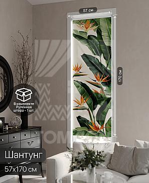 Рулонная штора «Фрезис - 71 - ширина 57 см» | фото