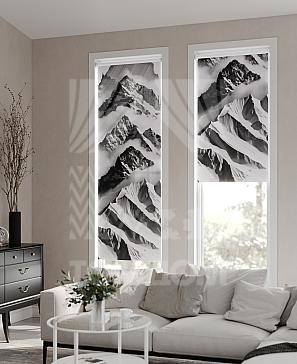 Рулонная штора «Фрезис - 79 - ширина 57 см» | фото 2