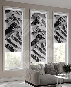 Рулонная штора «Фрезис - 79 - ширина 57 см» | фото 3