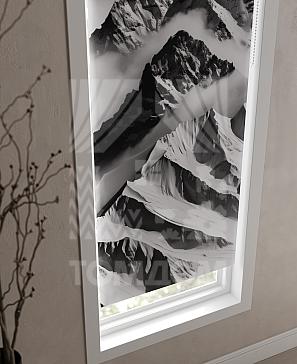 Рулонные шторы «Фрезис - 79 - ширина 57 см»