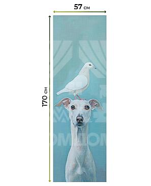 Рулонные шторы «Фрезис - 95 - ширина 57 см»