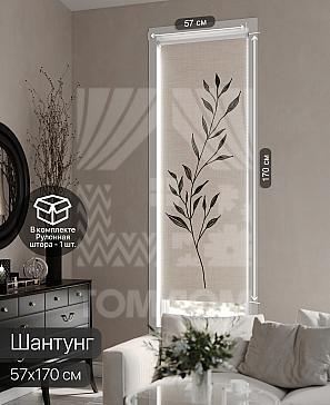 Рулонная штора «Фрезис - 97 - ширина 57 см» | фото