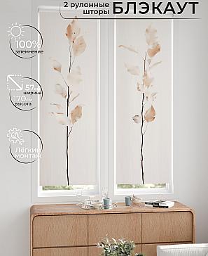 Комплект рулонных штор «Нокрет - 01 - ширина 57 см» | фото