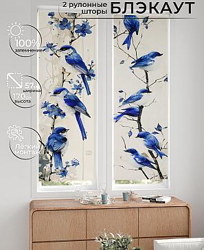 Комплект рулонных штор «Нокрет - 10 - ширина 57 см» | фото