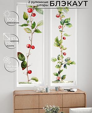 Комплект рулонных штор «Нокрет - 19 - ширина 57 см» | фото