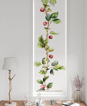 Рулонные шторы «Нокрет - 19 - ширина 57 см»