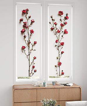 Комплект рулонных штор «Нокрет - 20 - ширина 57 см» | фото 2