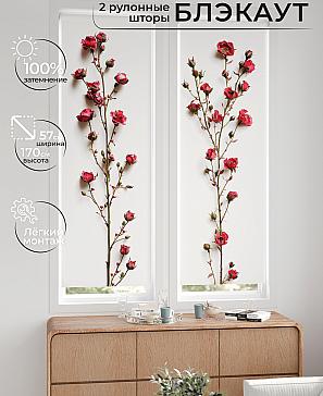 Комплект рулонных штор «Нокрет - 20 - ширина 57 см» | фото