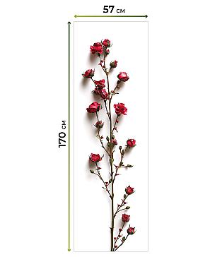 Комплект рулонных штор «Нокрет - 20 - ширина 57 см» | фото 3