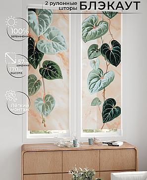 Комплект рулонных штор «Нокрет - 30 - ширина 57 см» | фото