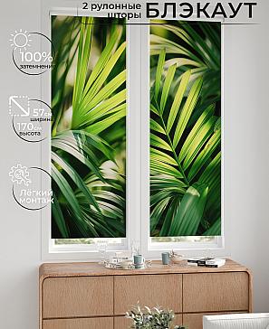 Комплект рулонных штор «Нокрет - 37 - ширина 57 см» | фото