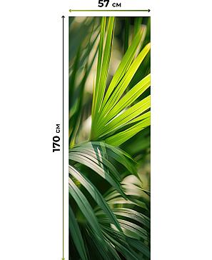 Комплект рулонных штор «Нокрет - 37 - ширина 57 см» | фото 3